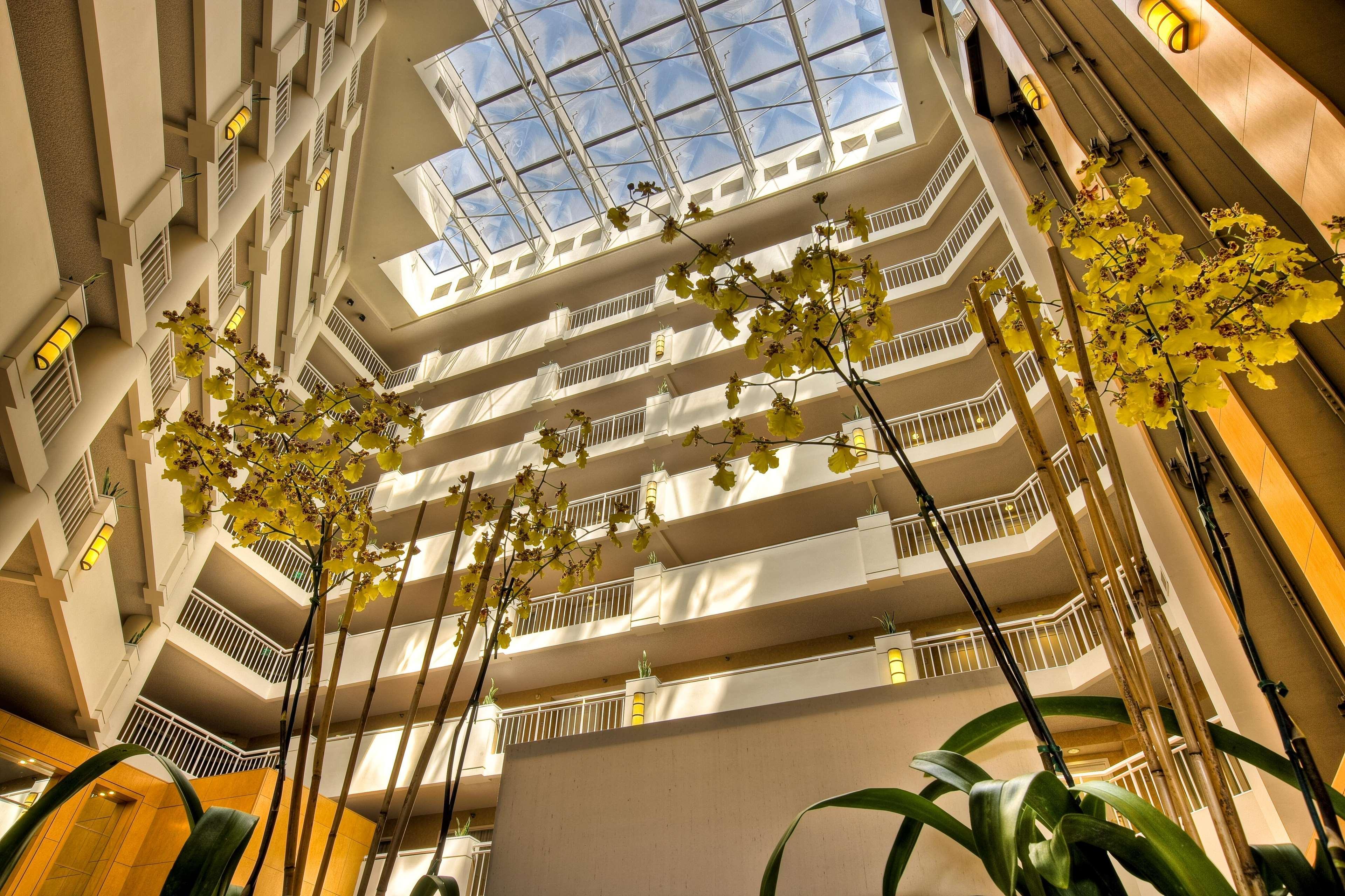 Hilton Hotel